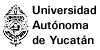 Universidad Autónoma de Yucatán