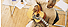 Descripci�n: C:\Users\grem.yerves\Documents\figuras\guitar.gif